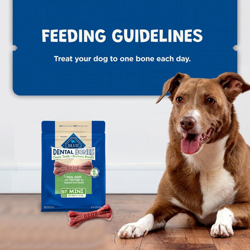 Blue Buffalo Dental Bones Mini Natural Dental Chew Dog Treats Bag Value Pack Unflavored 1.69 Pound (Pack of 1) - PawsPlanet Australia