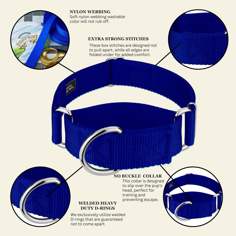 Country Brook Petz - HossFit Jr Wide Martingale Dog Collar - Training Collar with No Buckle - Service Dog Collar for All Pups - Vibrant, Colorful Collection (Royal Blue, Medium) Medium (Pack of 1) Royal Blue - PawsPlanet Australia