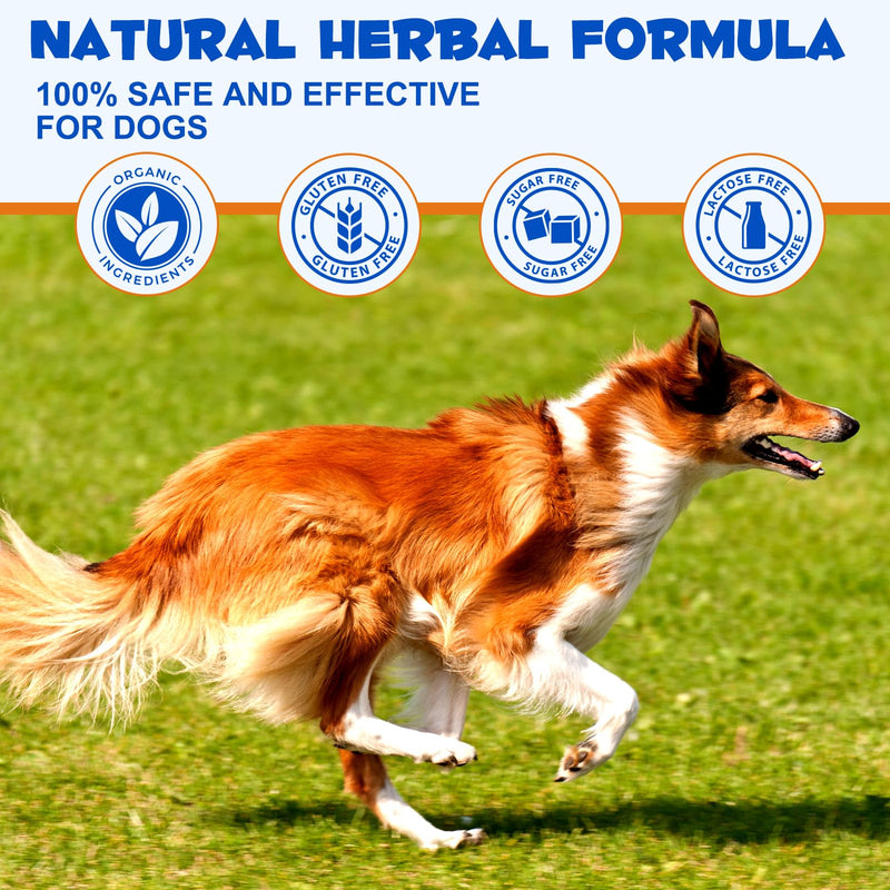 ALIVO Hip & Joint Glucosamine Drops for Dogs, Supports Joint Health, Dog Joint Pain Relief Treats - Enhances Mobility Support, Joint Supplement for Dogs, Bacon Flavor - 60ml / 2 fl.oz 2 Fl Oz - PawsPlanet Australia