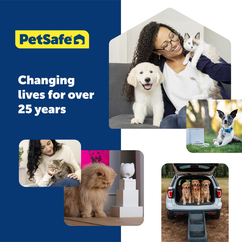 PetSafe Adjustable Martingale Collar - Only Tightens When Dogs Pull, Prevents Slipping Out - Helps with Strong Pullers, Increased Control - Alternative to Choke Collar - 3/4", Small, Deep Purple S (Neck: 8"-12", Strap Width: 0.75") - PawsPlanet Australia