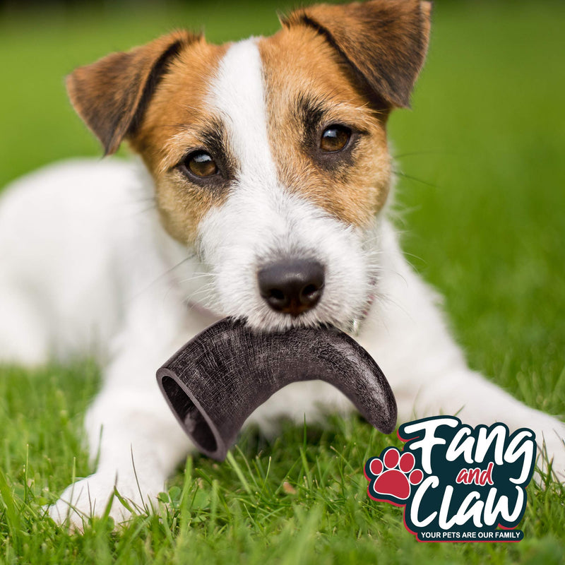 Water Buffalo Horn Dog Chew 4 Pack (Medium 6 Inch), Long-Lasting Natural Chews for Aggressive Chewers, Single-Ingredient, No Rawhide 4 Horns - Medium 6" - PawsPlanet Australia