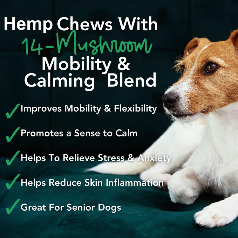 iHeartDogs Hemp Mushroom Chews for Dogs - Mobility, Calming, Allergy & Immune Support - 14 Mushroom Blend with Turkey Tail, Lion’s Mane, Shiitake & Green Lipped Mussels - 60 Count / 600mg Hemp