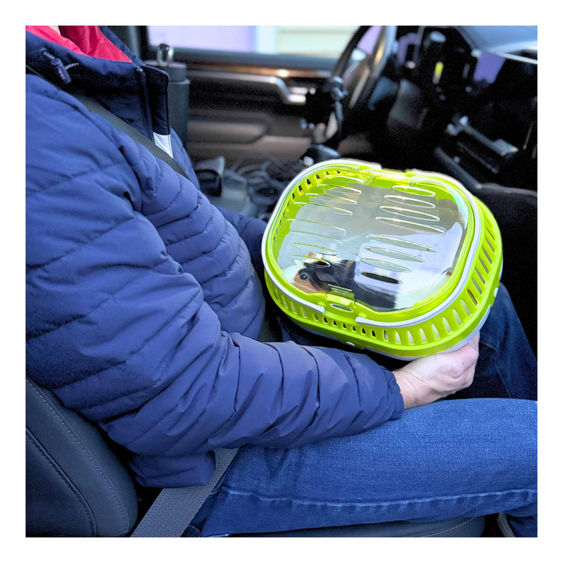 TRIXIE Pico Transport Crate, Small Pet Carrier, Portable Travel Carrier, for Small Pets, Hamsters, Guinea Pig, Lizards 11.8"L x 8.3"W x 9.1"H - PawsPlanet Australia