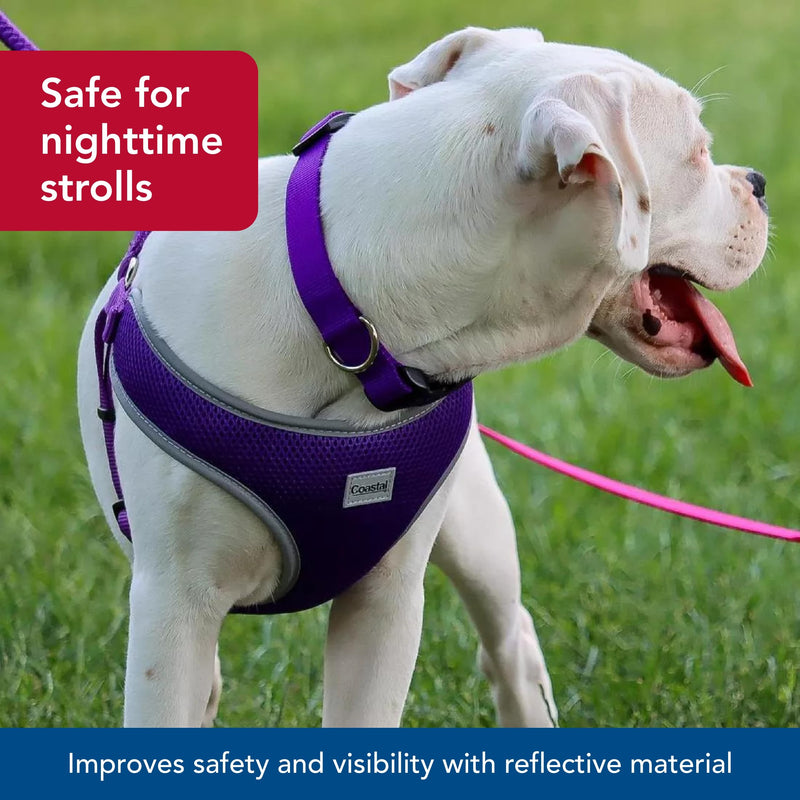 Coastal Pet Comfort Soft Reflective Wrap Adjustable Dog Harness - No-Pull Dog Harness for Small & Large Dogs - Blue Lagoon - 5/8" x 16"–19" 5/8" x 16"–19" (Pack of 1) - PawsPlanet Australia