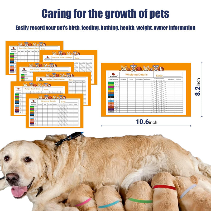 Puppy Kitten Whelping Kit, Newborn Dogs Cats Pet Whelping Kit with 6P Record Keeping Charts, 15P Pet ID Collars, 1P Aspirator Bulb, 15P Umbilical Cord Clip, 1P Hemostatic Forcep - PawsPlanet Australia