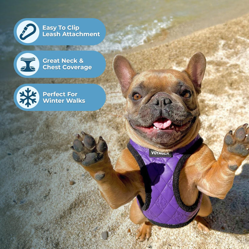 Voyager Step-In Plush Dog Harness by Best Pet Supplies - Step In Vest Harness for Small and Medium Dogs, Soft Plush, Purple Faux Leather, size XS - Chest: 13 - 14.5" Harness (Purple Faux Leather) XS (Chest: 13 - 14.5") - PawsPlanet Australia
