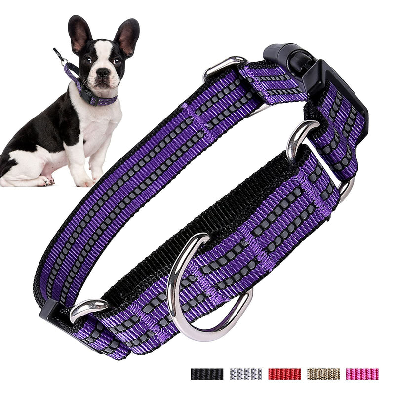 Martingale Dog Collars Reflective Nylon Dog Collar with Quick Release Buckle Adjustable Training No Slip Dog Collar (Medium, Purple) Medium