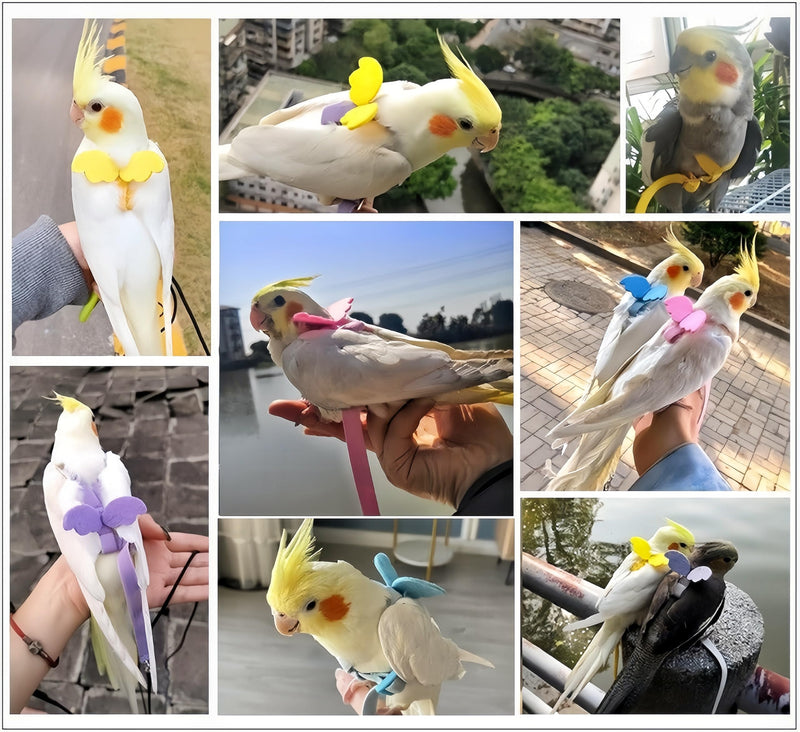 3 Sets Pet Parrot Bird Harness and Leash with Cute Wing, Adjustable Bird Flying Harness Straps Outdoor Training Traction Rope for Parrots Pigeons Lovebird Cockatiel(L,Pink, Yellow&Purple) Pink, Yellow&Purple L - PawsPlanet Australia