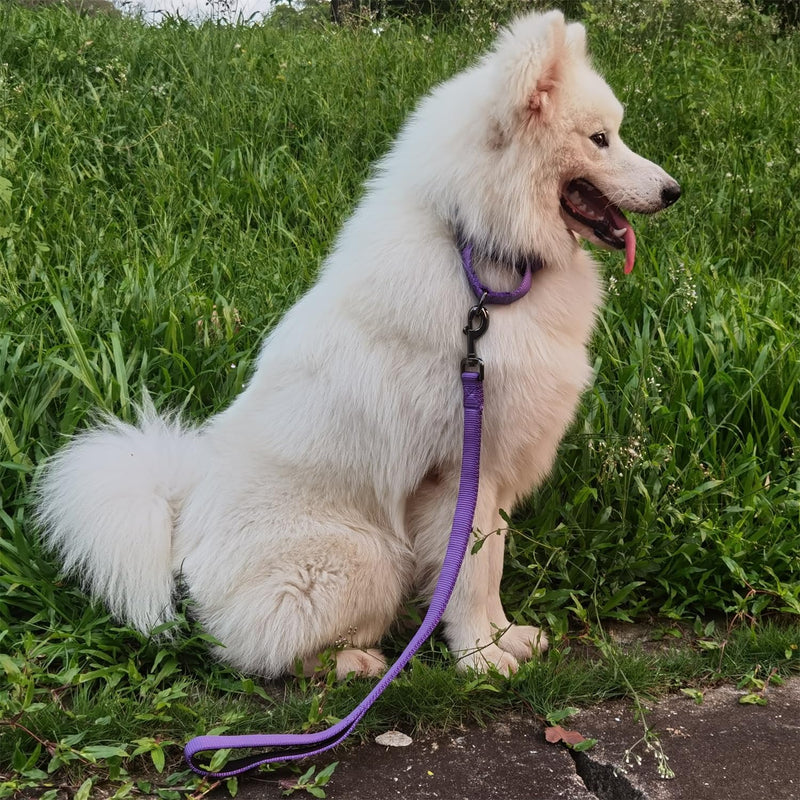 Advanced Dog Short Leash 24 Inches with Sturdy Nylon and Soft Padded Handle Lead for Large Medium Breed Dogs Daily Use Walking,Training etc (24 Inches, Ultra Violet)