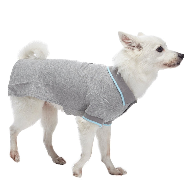 Blueberry Pet Back to School 2-Pack Prep School Style Dog Polo Shirts | Cotton Outfit for Small Pets in Sky Blue + Light Grey, Back Length 14 inch - PawsPlanet Australia