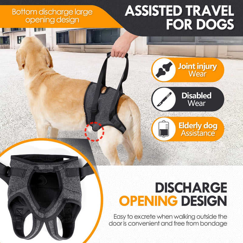 Dog Lift Harness for Back Legs - Adjustable Support Sling for Injured, Disabled & Elderly Dogs, Soft Padded Leg Brace Aid for S/M/L Dogs, Walking & Rehab Support (Dark grey, M) Dark grey