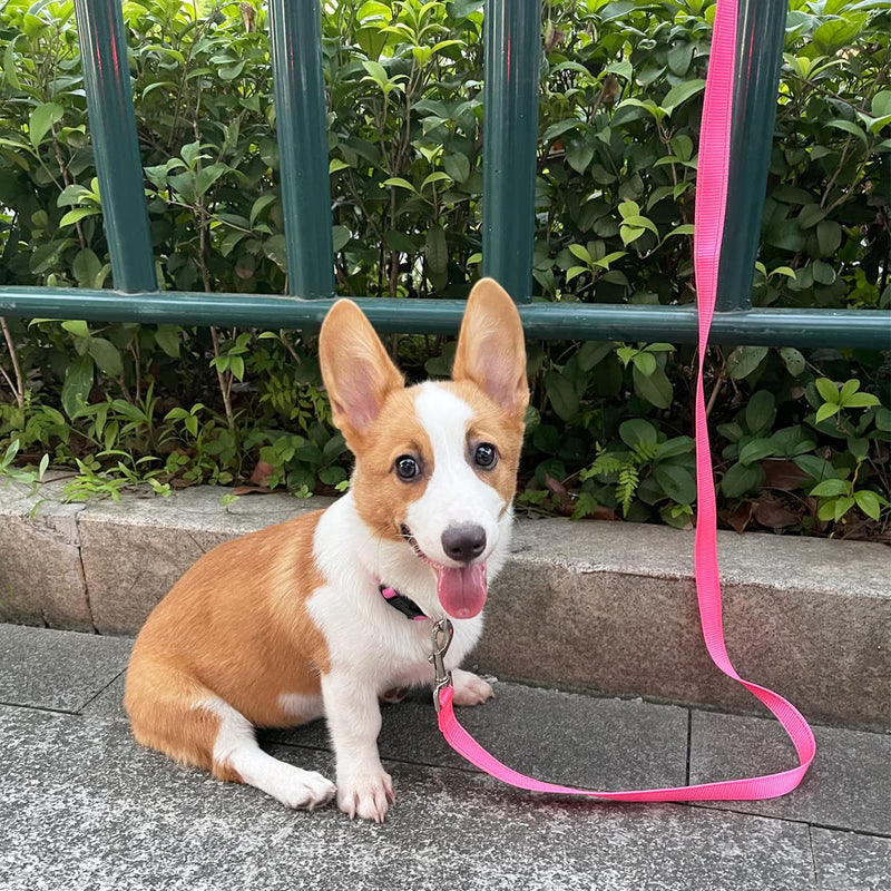 Tie Out Dog Leash, 6 FT Nylon Dog Tether 1" Wide Reflective Thick Lead Heavy Duty for Medium Large Dogs Indoor Outdoor Front Yard Camping (Green) 6ft x 1 in Green - PawsPlanet Australia