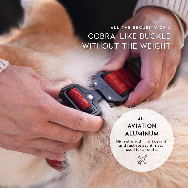 MADE TO ROAM Comfort Collar - Adjustable Nylon Dog Collar with Soft Comfortable Padding, Light Aviation Aluminum Metal Buckle for Small, Medium and Large Dogs (Maine Marina, Size 3) Maine Marina
