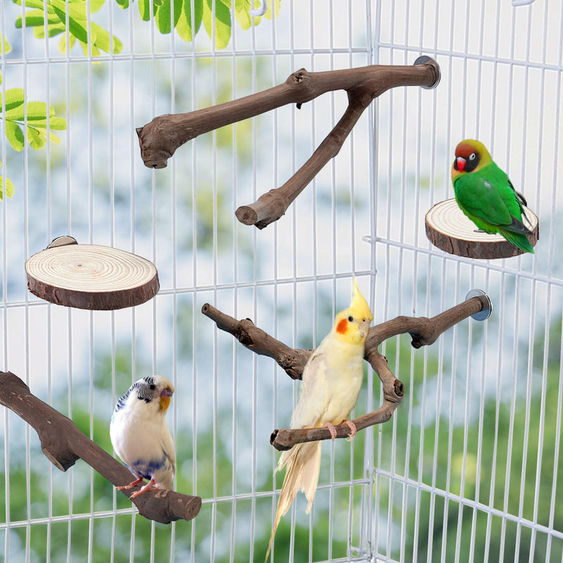 Mogoko 5PCS Bird Perch Natural Wood Grape Stick Stand, 3 Grape Stick Paw Grinding Fork Parakeet Chewing Stick 2 Parrot Stand Branch, Chewing Exercise Branches Bird Cage Accessories - PawsPlanet Australia