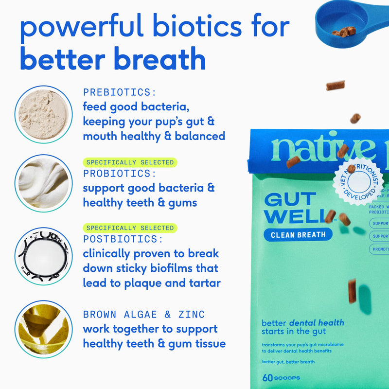Native Pet GutWell Clean Breath - Dog Breath Freshener & Dog Dental Powder - Teeth Cleaning to Reduce Plaque & Tartar - Promotes Fresh Breath with Targeted Triple-biotic Dental Care Blend - 60 Scoops - PawsPlanet Australia