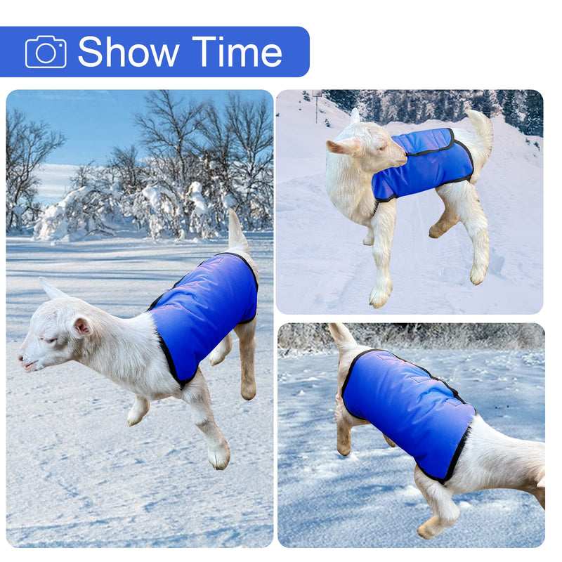2 Pack Lamb Coat with Quilted Lining, Sheep/Goat Blanket, Blue and Gray - PawsPlanet Australia