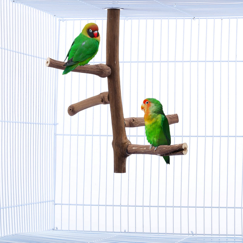 CozyCabin Natural Bird Perch Stand for Cage, Hanging Multi Branch Grapevine Parrot Perch Bird Cage Toys for Small Budgies Conure Parrot Parakeets Cockatiels Lovebirds
