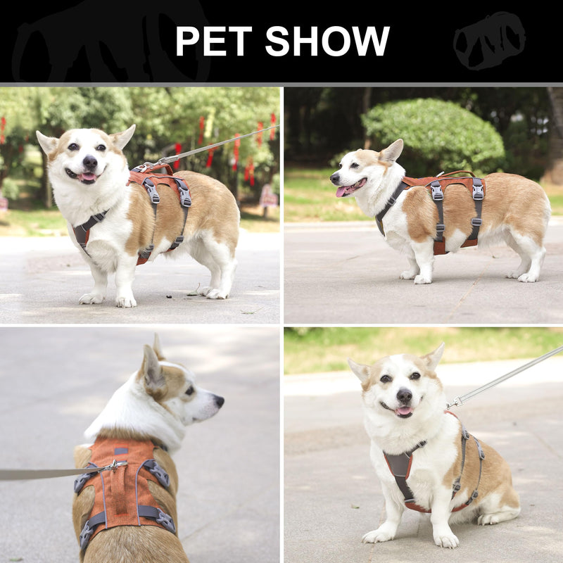 Escape Proof Dog Harness with Handle - Reflective No Pull Dog Vest, Lightweight Full Body Pet Harness Adjustable for Small Dogs Walking,Training(Blue,Chest:14-22") Chest:14-22", Fit 8-12 lbs Orange - PawsPlanet Australia