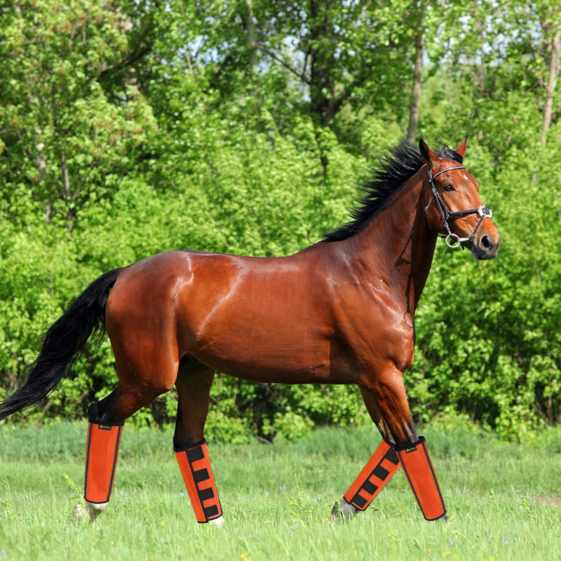 Fly Boots for Horses Set of 4,Extra Tough Mesh Horse Fly Boots with 2 Built-in Metal Supports,Breathable Fly Leggings for Horses with Fleece Trimming and Reflective Webbing (Orange, Large) Orange