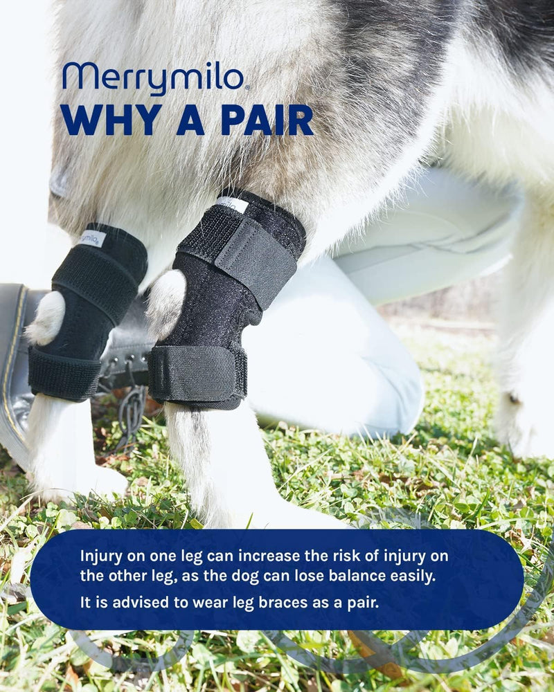Dog Leg Brace for Rear Hock & Ankle, Canine Hind Leg Joint Compression Wrap for Torn ACL & CCL, Injury and Sprain Protection, Wound Care and Loss of Stability 1 Pair, Size: Large black - PawsPlanet Australia