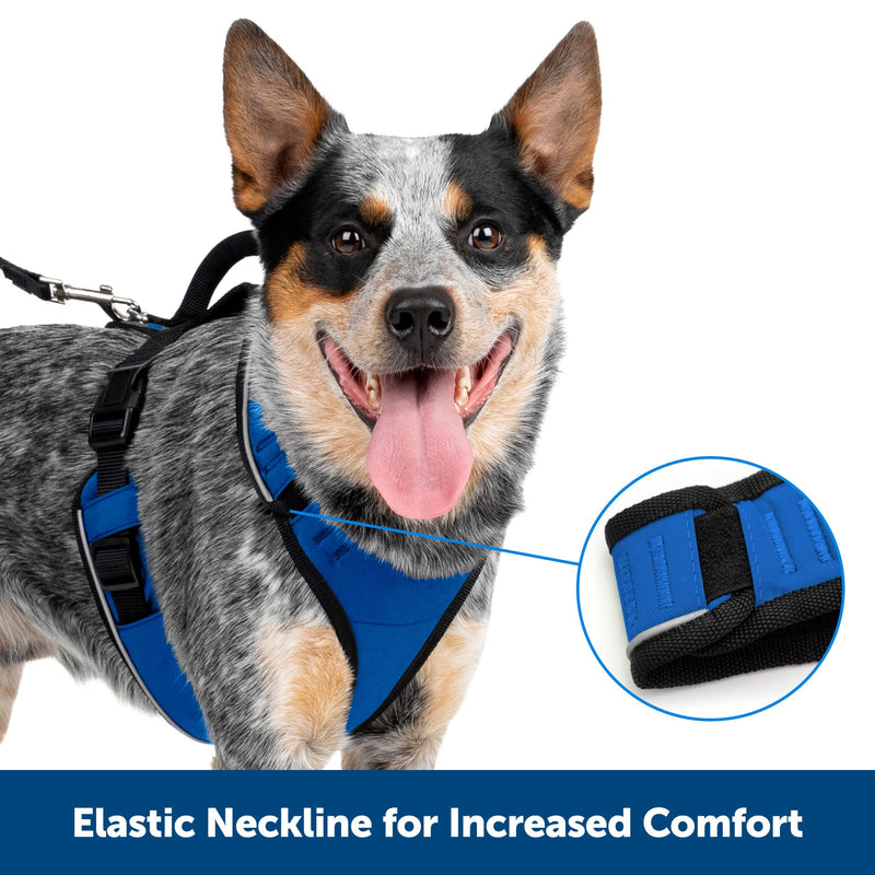 PetSafe EasySport Harness – Padded Straps – Fully Adjustable — Elastic Neckline — Best for Athletic Dogs – Top Handle for Quick Control - Large - Teal