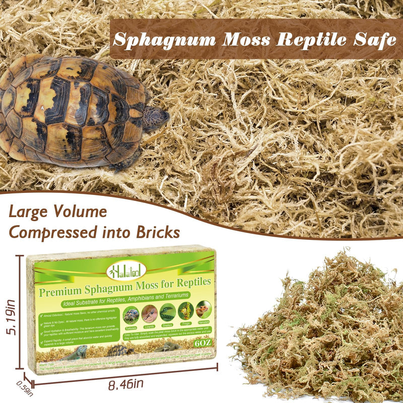 Halatool 6OZ Natural Sphagnum Moss for Reptiles Premium Reptile Moss Ideal Terrarium Moss for Box Turtles Hermit Crabs Leopard Gecko Snakes and Hamsters Enclosure 6 OZ - PawsPlanet Australia