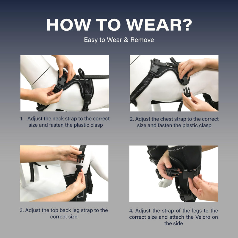REBORN Dog Double Knee Brace for Torn ACL, CCL & Luxating Patella, Adjustable Back Leg Support & Recovery, Hind Leg Brace for Stability, Arthritis, Injury & Joint Pain Relief, Medium