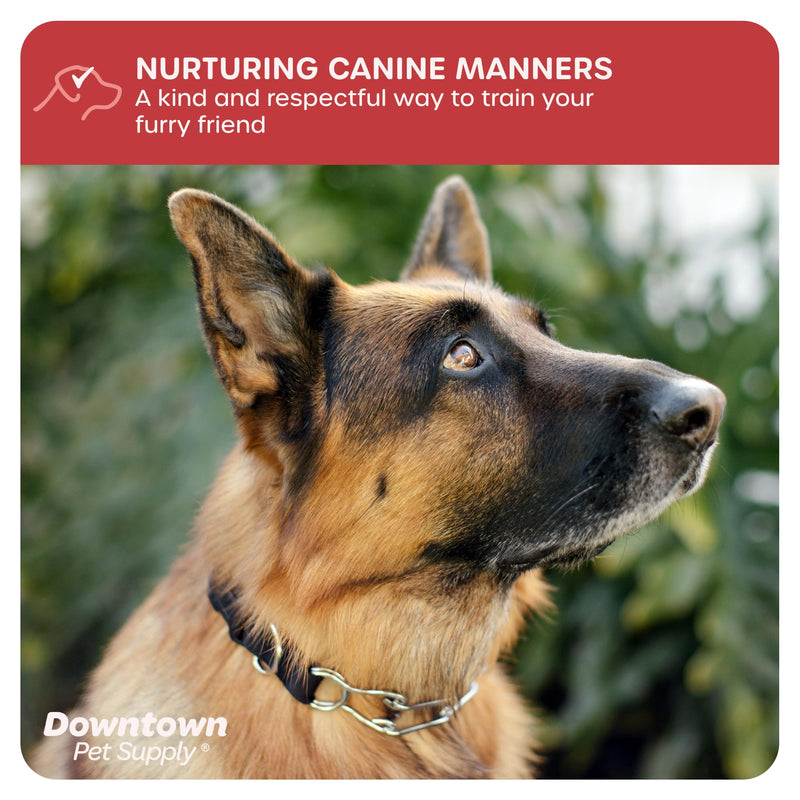 Downtown Pet Supply Chrome Plated/Nylon Prong Collar for Dogs, Small - Adjustable, No-Choke and No Pull Dog Collar with Removable Links - Pinch Collar for Dogs Under 20 lbs and 14" Neck Width Small (Pack of 1) Nylon - PawsPlanet Australia