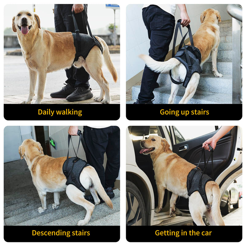 HEYWEAN Dog Sling for Large Dogs Hind Leg Support Harness Ideal for Elderly Injured Arthritic Dogs Provides Rehabilitation Aid for Weak Back Legs Comfortable and Durable Design X-Large Grey - PawsPlanet Australia