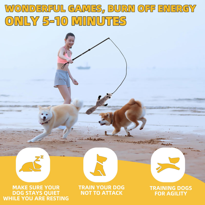 Flirt Pole Dogs, Dog Flirt Pole Extra Strong for Large Medium Small Dogs to Keep The Dog Entertained and Physically Exhausted Ball+Beaver L - PawsPlanet Australia