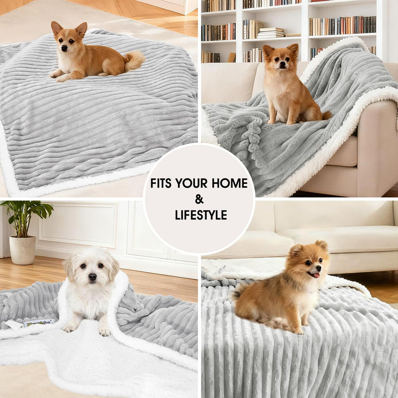 Waterproof Dog Blanket Soft Pet Cat Blanket Cozy Calming Sherpa Corduroy Fleece Blanket Reversible Furniture Bed Protector for Small Dogs Machine Washable Puppy Blanket, Grey 40x50 in L/40"x50" - PawsPlanet Australia