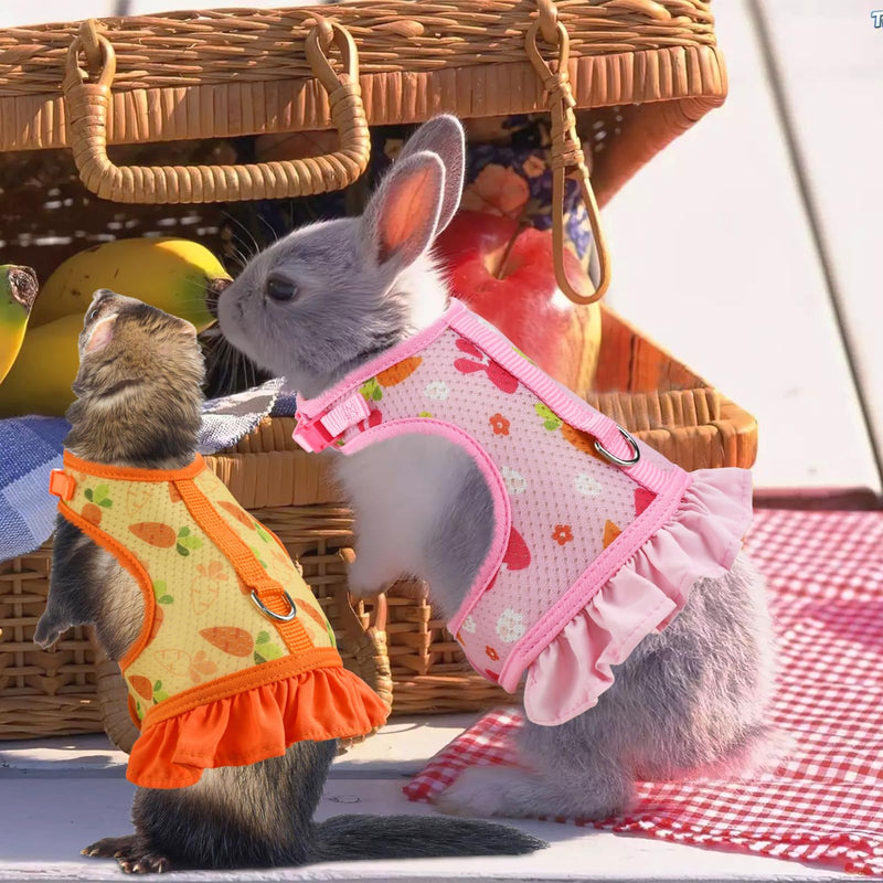 Carrot Pattern Mesh Bunny Harness Rabbit Vest-Harness with Adjustable Straps for Small Animals Bright Colors Rabbit Harness with Leash for Kitten Rabbit Bunny Outdoor Walking L Large - PawsPlanet Australia