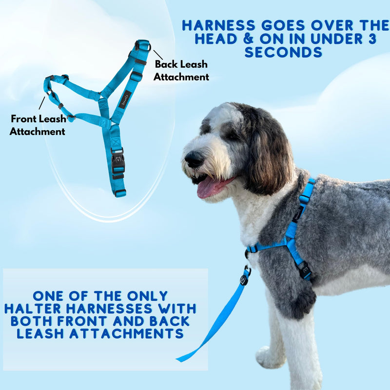 ShawnCo Dream Walk No-Pull Dog Harness- Adjustable, Comfortable, Easy to Use Pet Halter to Help Stop Pulling for Small, Medium and Large Dogs (Mustang Red, M) Mustang Red - PawsPlanet Australia