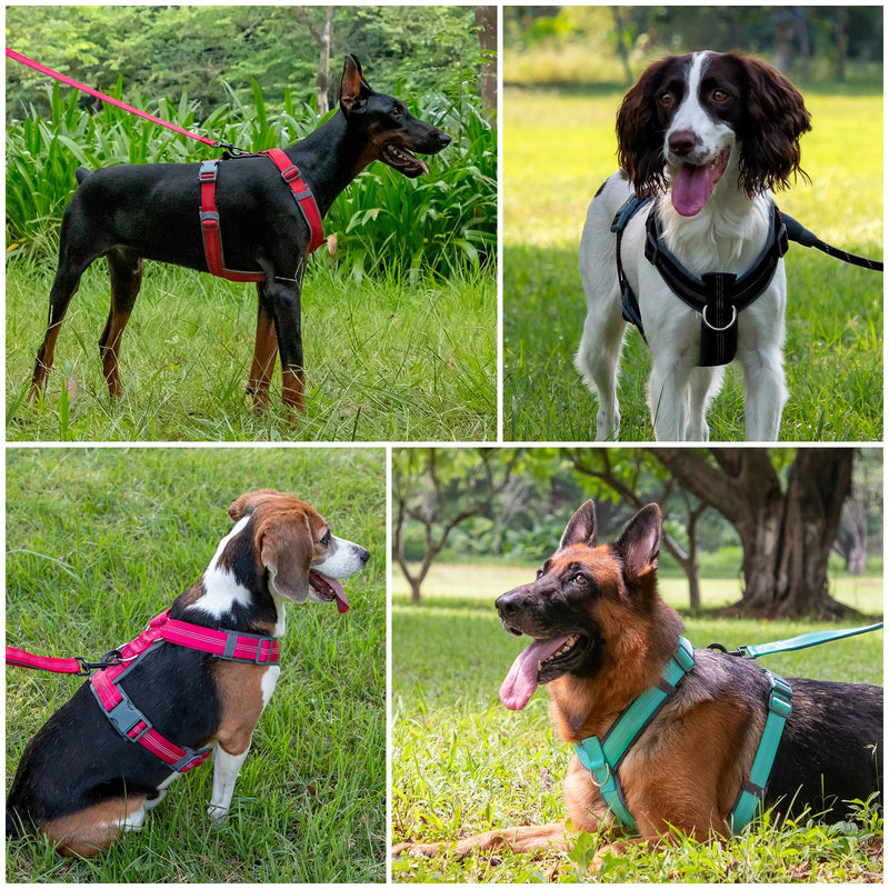 Plutus Pet No Pull Dog Harness, Adjustable Nylon Harness with Soft Padding, Reflective and Heavy Duty Dog Harness for Small, Medium, Large Dogs(Hot Pink, M) Hot Pink - PawsPlanet Australia