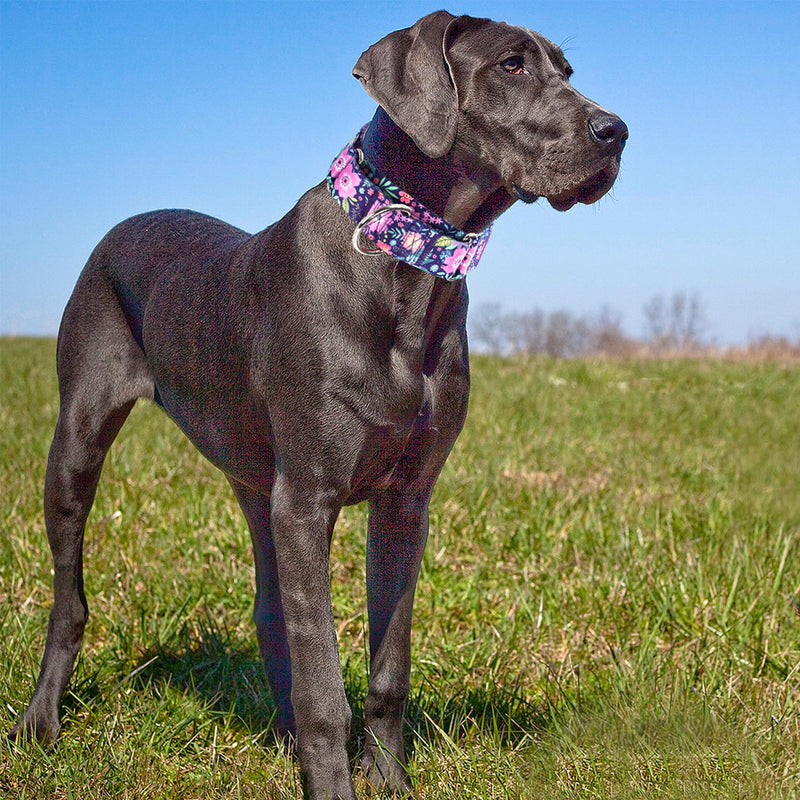 Wide 1.5 inch Martingale Collar for Medium Dogs,Big Thick Dog CollarNo-Slip Escape Proof Choke No Pull Cinch for Male and Female Dogs for Training & Walking -Bohemia Flowers M 15 M(Neck14-18")
