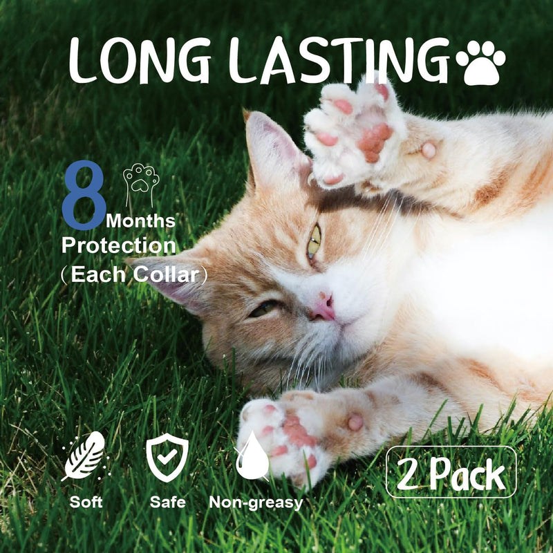 Flea Collar for Cats, Flea and Tick Collars for Kittens, Flea & Tick Treatment Prevention, Natural Essential Oil, 2 Pack, 16 Months Protection, One Size Fits All, Waterproof - PawsPlanet Australia