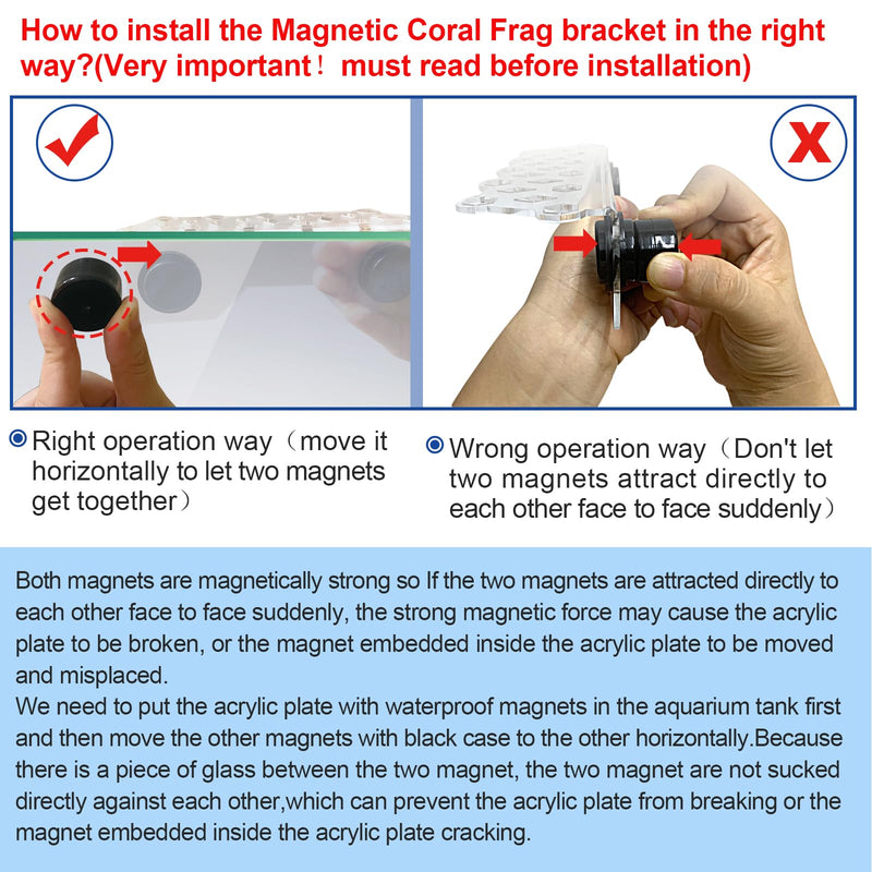 Coral Plug Holder Coral frag Rack Magnetic Holder Reef Magnets Holder for frag Racks (Coral Holder with 11 frag Plug) Coral holder with 11 frag plug - PawsPlanet Australia