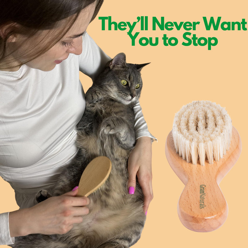 GranNaturals Boar Bristle Soft Cat Brush for Indoor, Outdoor, Short Haired Cats, Kittens, Small Dog, Rabbit, Furry Pets - Gentle Grooming on Sensitive Hair Coat & Tail with Durable Wooden Handle - PawsPlanet Australia