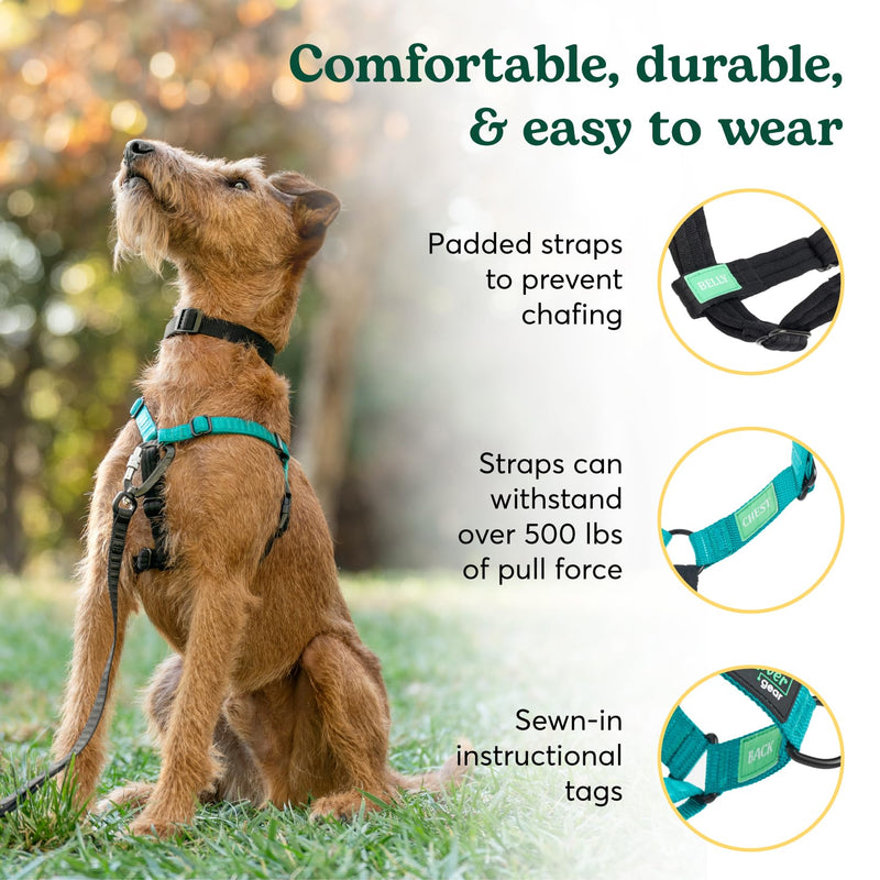 Better Walk No-Pull Dog Harness, Teal, 1” Medium – Stay in Control with Adjustable, Comfortable, Easy to Wear, & Durable Dog Harness – Ideal for Medium Dogs 35-65lb Aqua Teal - PawsPlanet Australia