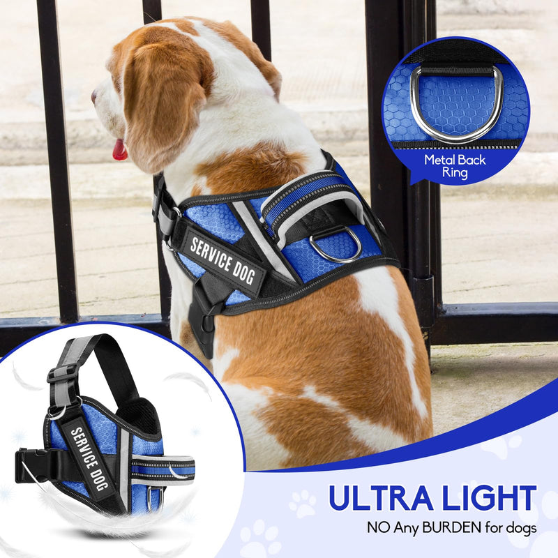 Service Dog Vest Harness and Leash Set, Animire in Training Dog Harness with 10 Dog Patches, Reflective Dog Leash with Soft Padded Handle for Small, Medium, Large, and Extra-Large Dogs (Blue, XS) Blue - PawsPlanet Australia