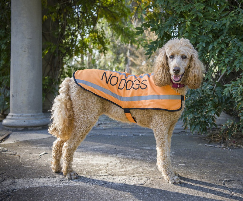 NO DOGS Orange (Not Good With Other Dogs) Warm Dog Coats S-M M-L L-XL Waterproof Reflective Fleece Lined Prevents Accidents By Warning Others of Your Dog in Advance (L-XL Back 23" (59cm)