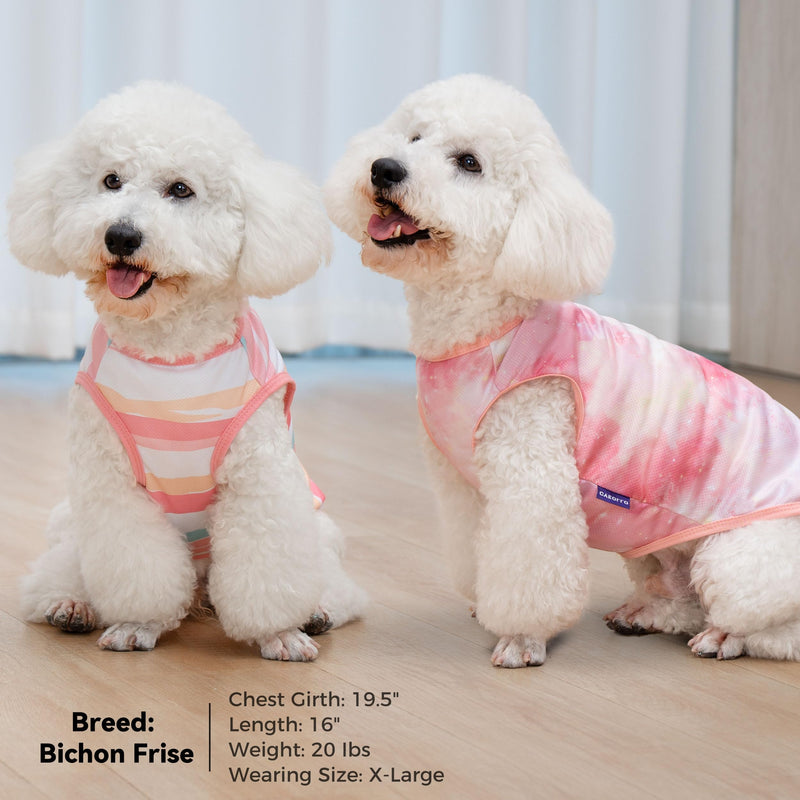 cyeollo 2pack Dog Cooling Shirt, Breathable Sleeveless Summer Clothes for Dogs, Intant Cool T Shirts for Small Dogs, Pink M M-Chest 16"