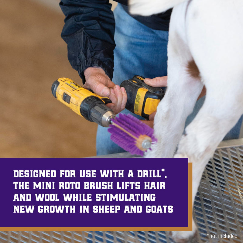 Weaver Leather Mini Roto Brush for Livestock, Wool/Hair Stimulating and Grooming Brush for Goat Sheep Cattle, Use with Drill, Coat Deshedding Tool 4" Long