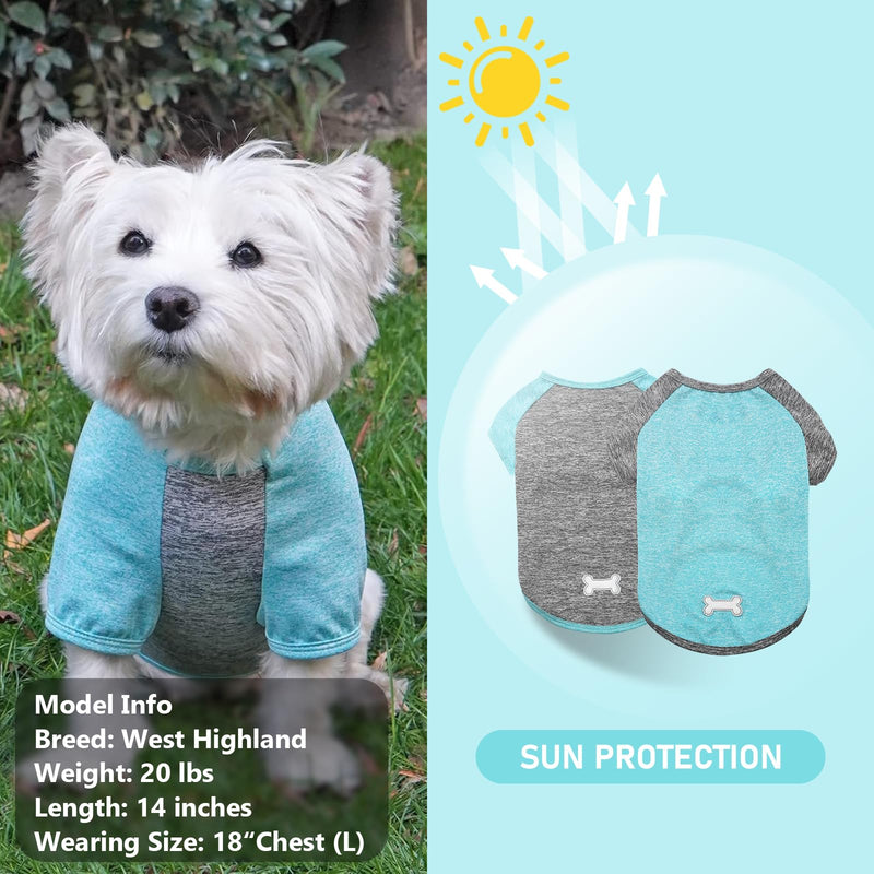 KYEESE 2 Pack Dog Shirt Raglan Sleeve Quick Dry Lightweight Stretchy Dog T-Shirts with Reflective Label Puppy Shirts for Small Dogs Sun Protection, Medium, Grey+Blue Medium (7-13lbs) 2# 2Pack(Grey+Lake Blue) - PawsPlanet Australia