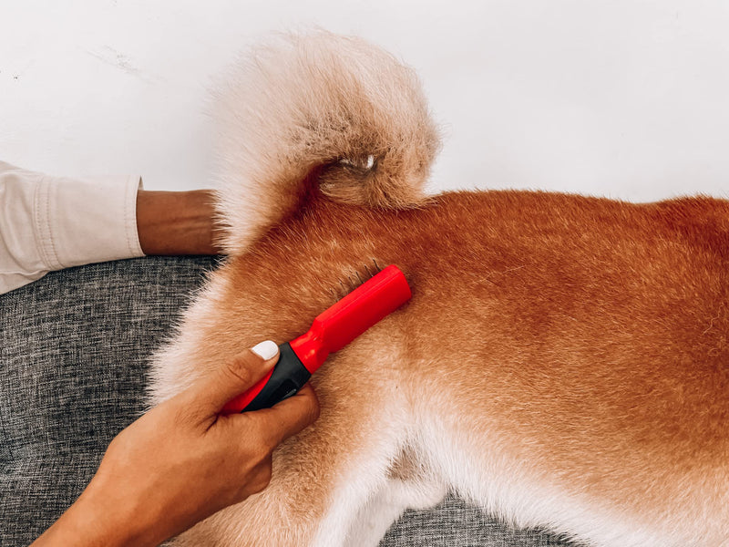 Tuff Pupper Deep Knot and Mat Remover Tool | Dematting Brush for Dogs, Cats, and Small Animals | Mat Splitting Grooming Comb for Long and Short Fur Pets - PawsPlanet Australia