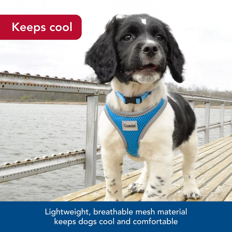 Coastal Pet Comfort Soft Reflective Wrap Adjustable Dog Harness - No-Pull Dog Harness for Small & Large Dogs - Blue Lagoon - 5/8" x 16"–19" 5/8" x 16"–19" (Pack of 1) - PawsPlanet Australia