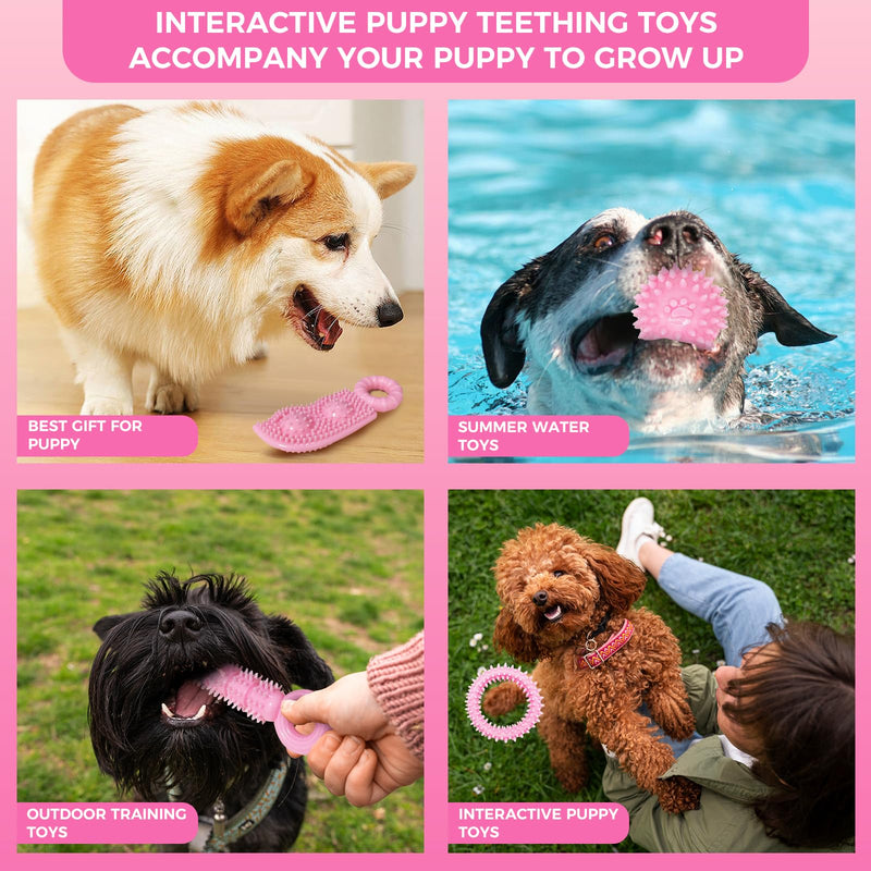 Puppy Toys, 9 Pack Puppy Chew Toys for Teething, Cute Pink Small Dog Toys, Puppy Teething Toys for Puppies, Soft Durable Interactive Dog Chew Toys for Puppy to Small Dogs Pink（9Pack） Extra Small Dog - PawsPlanet Australia