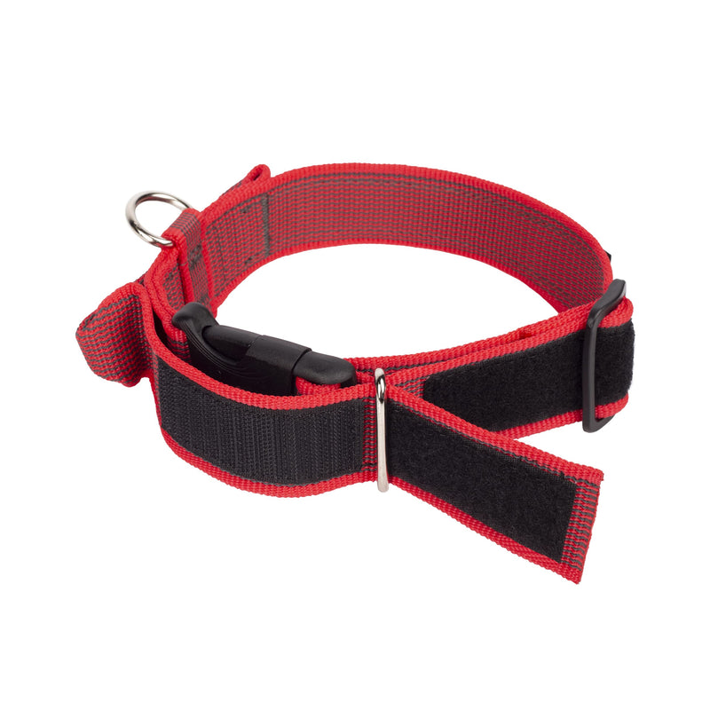 Julius-K9 Color and Gray Collar with Handle and Interchangeable Patch, 40 mm (38-53 cm), Red-Gray 40 mm x 38-53 cm