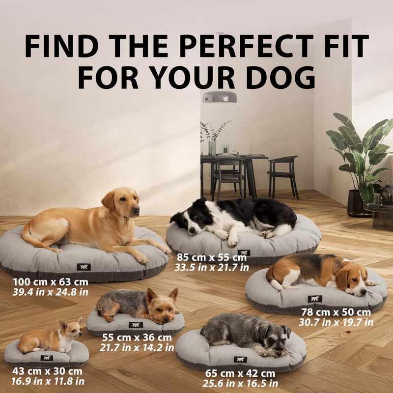 Ferplast Cat Bed, Dog Bed Washable Pet Mat Cushion in Cotton with Soft Padding, 55 x 36 cm. Brown 55 x 36 x 5 cm (L x W x H) Beige