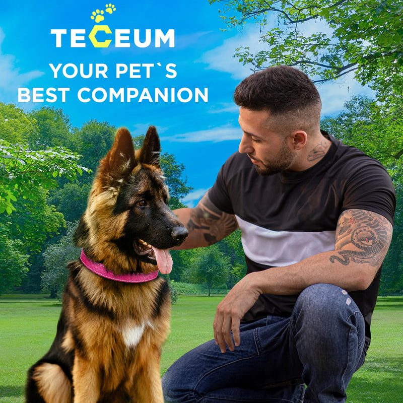 TECEUM Reflective Dog Collar – Hot Pink – XXS – Basic Nylon Pet Collar – Quick Release Buckle – Fits Small, Medium and Large Dogs, Puppies, Cats – ESA & Service Dog Options